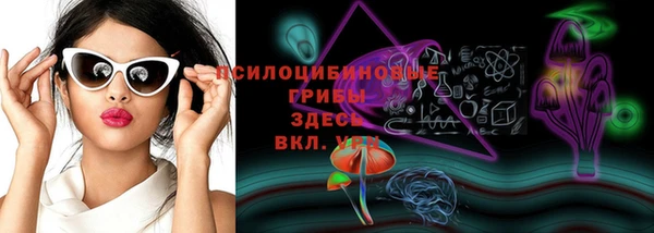 молекула духа Гусь-Хрустальный