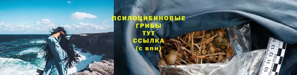 мдма Гусев