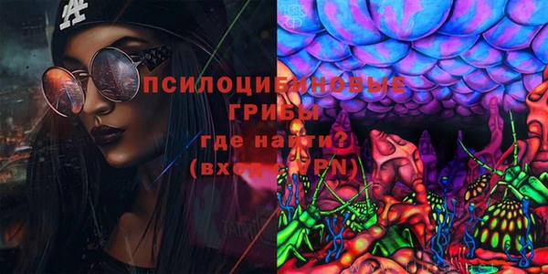 мдма Гусев