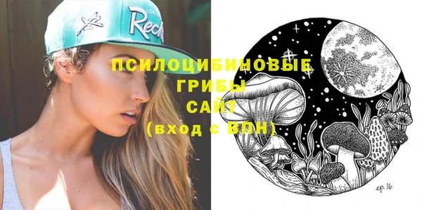 мдма Гусев