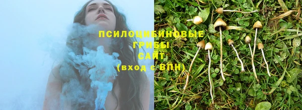 соль курить ск Гусиноозёрск