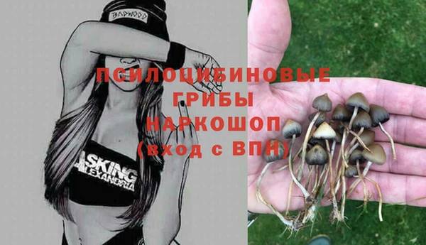 соль курить ск Гусиноозёрск