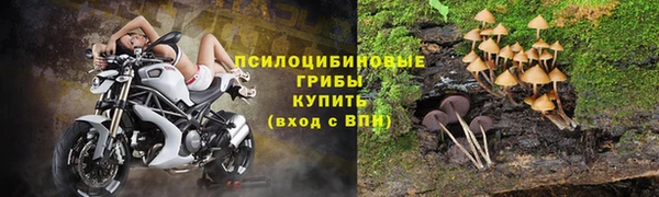 молекула духа Гусь-Хрустальный