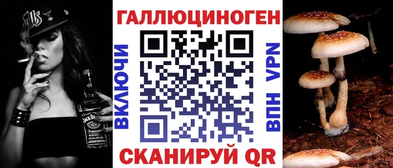 Купить где Кимовск Псилоцибиновые грибы мицелий